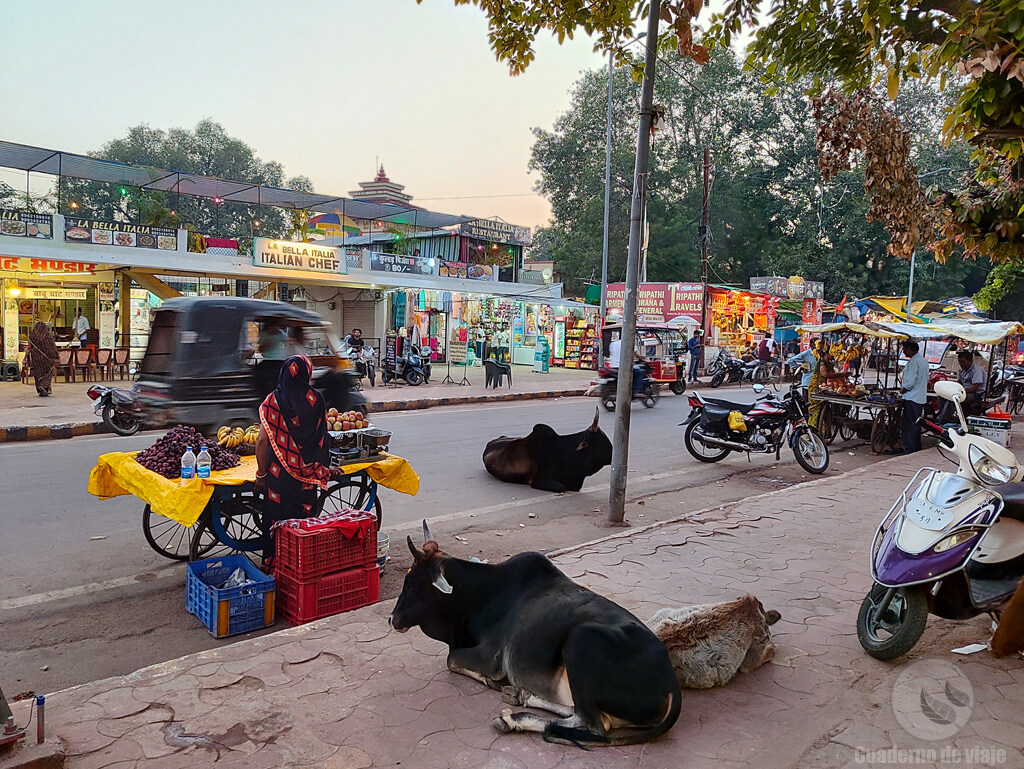 Jain Mandir Road, una de las calles principales de Khajuraho Jain Mandir Road, una de las calles principales de Khajuraho
