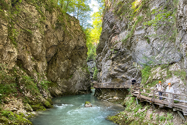 Garganta de Vintgar Garganta de Vintgar