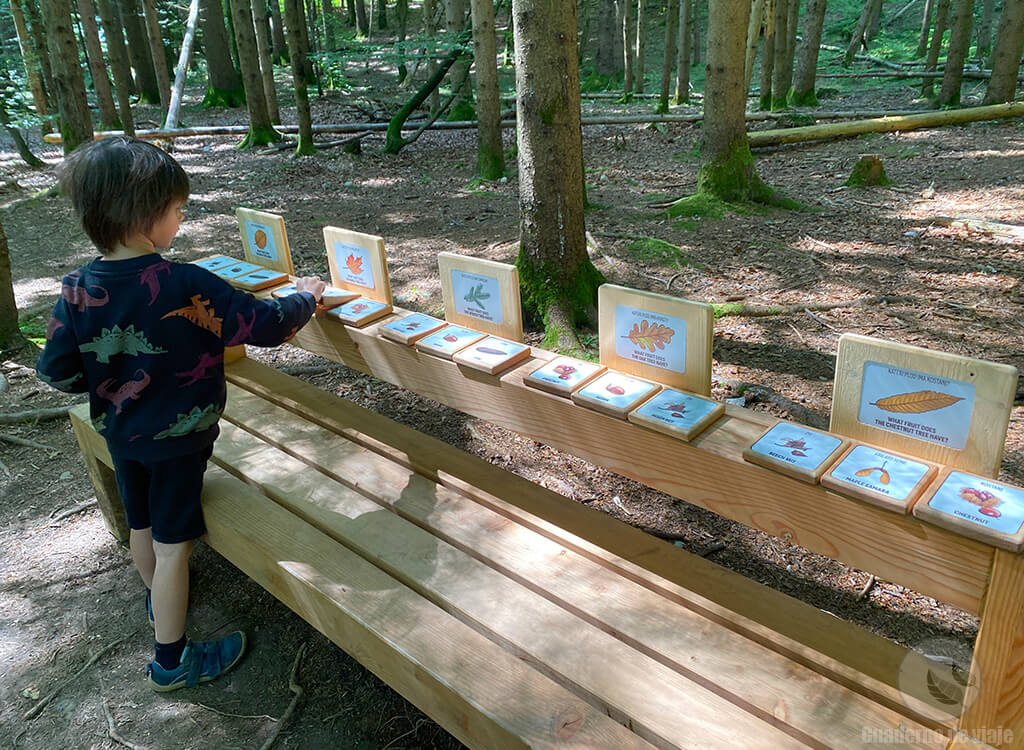 Uno de los juegos para niños del 'Kids interactive trail' Uno de los juegos para niños del 'Kids interactive trail'