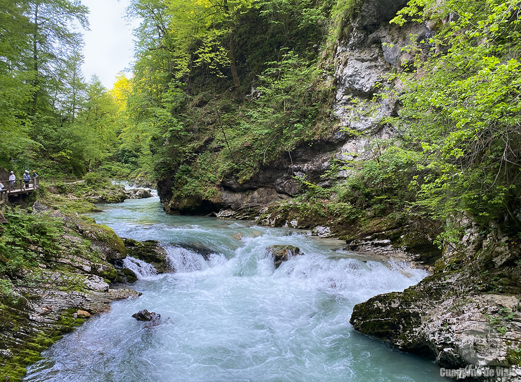 El precioso Desfiladero de Vintgar, muy cerca del lago Bled El precioso Desfiladero de Vintgar, muy cerca del lago Bled