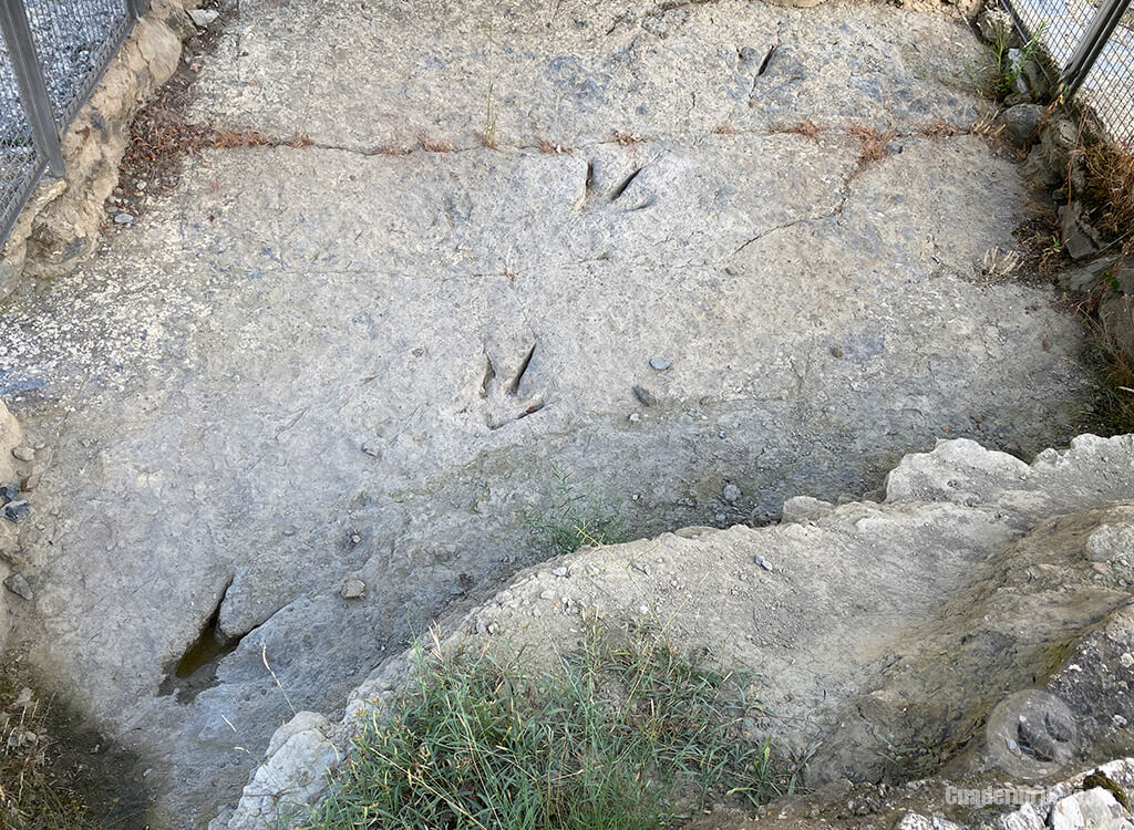 Huellas de un carnívoro terópodo en Valdecevillo Huellas de un carnívoro terópodo en Valdecevillo