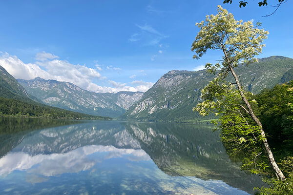 Lago Bohinj Lago Bohinj