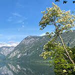 El Lago Bohinj, una de las maravillas naturales de Eslovenia (con mapa y rutas)