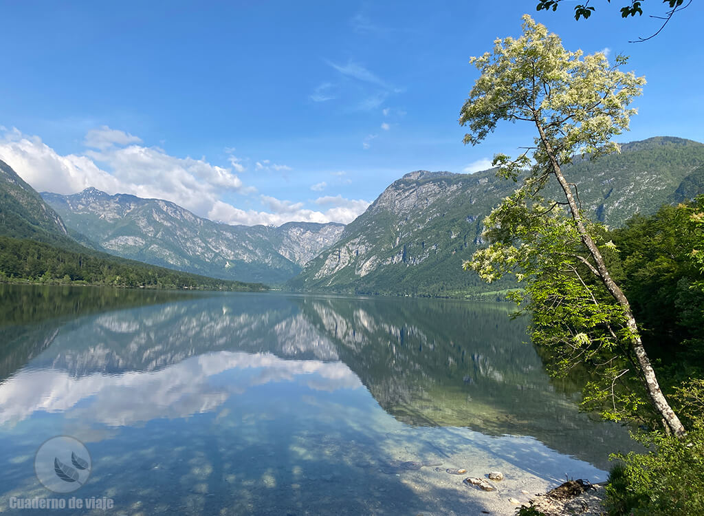El lago Bohinj es uno de los más bonitos de Europa El lago Bohinj es uno de los más bonitos de Europa