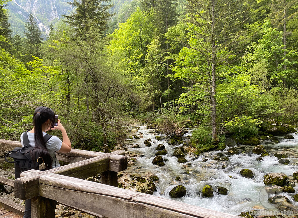 Puente sobre el río Savica Puente sobre el río Savica