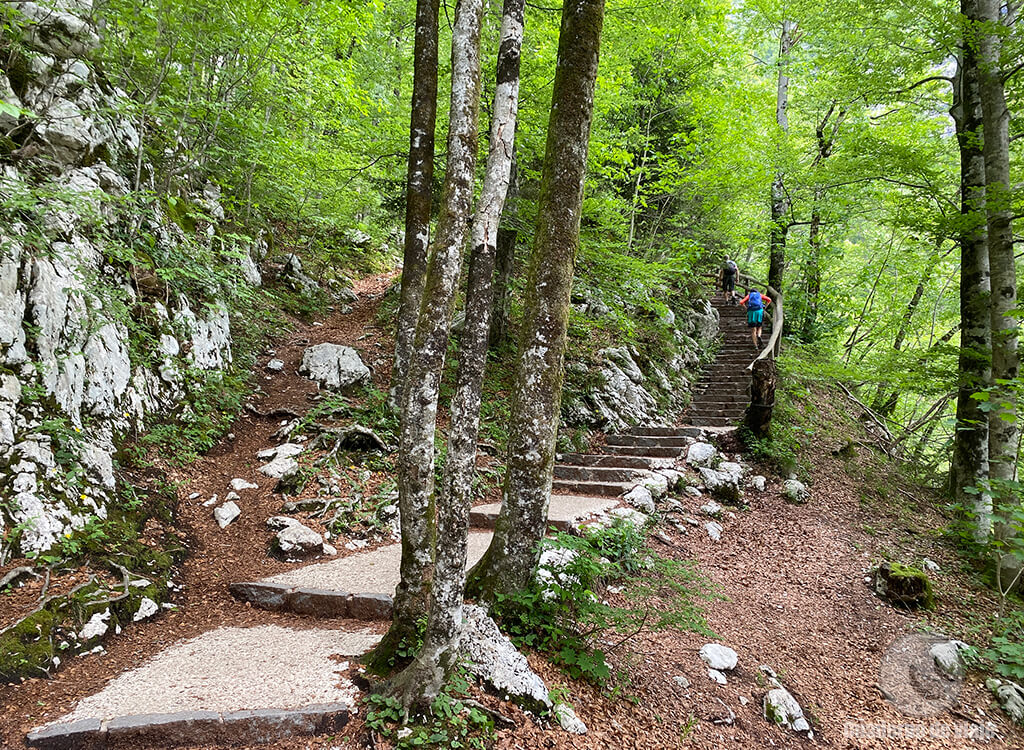 Escaleras de subida a la Cascada de Savica Escaleras de subida a la Cascada de Savica