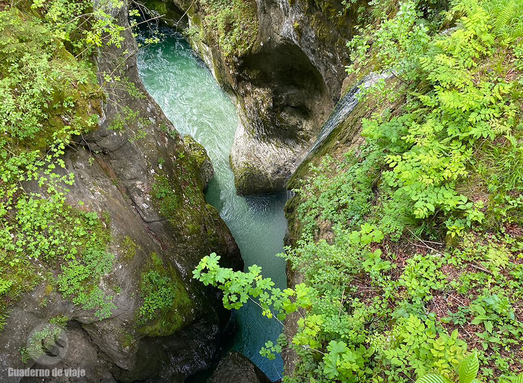 Garganta de Mostnica desde uno de los puentes Garganta de Mostnica desde uno de los puentes