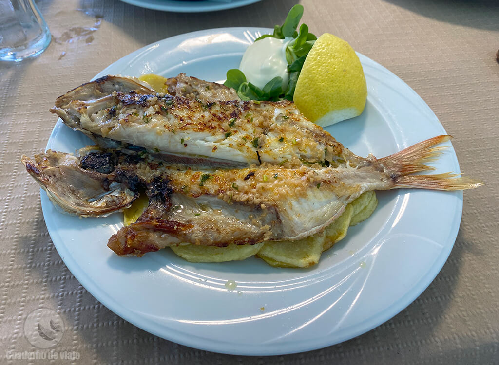 Aligote o besugo blanco a la espalda del Restaurante El Escanu Aligote o besugo blanco a la espalda del Restaurante El Escanu