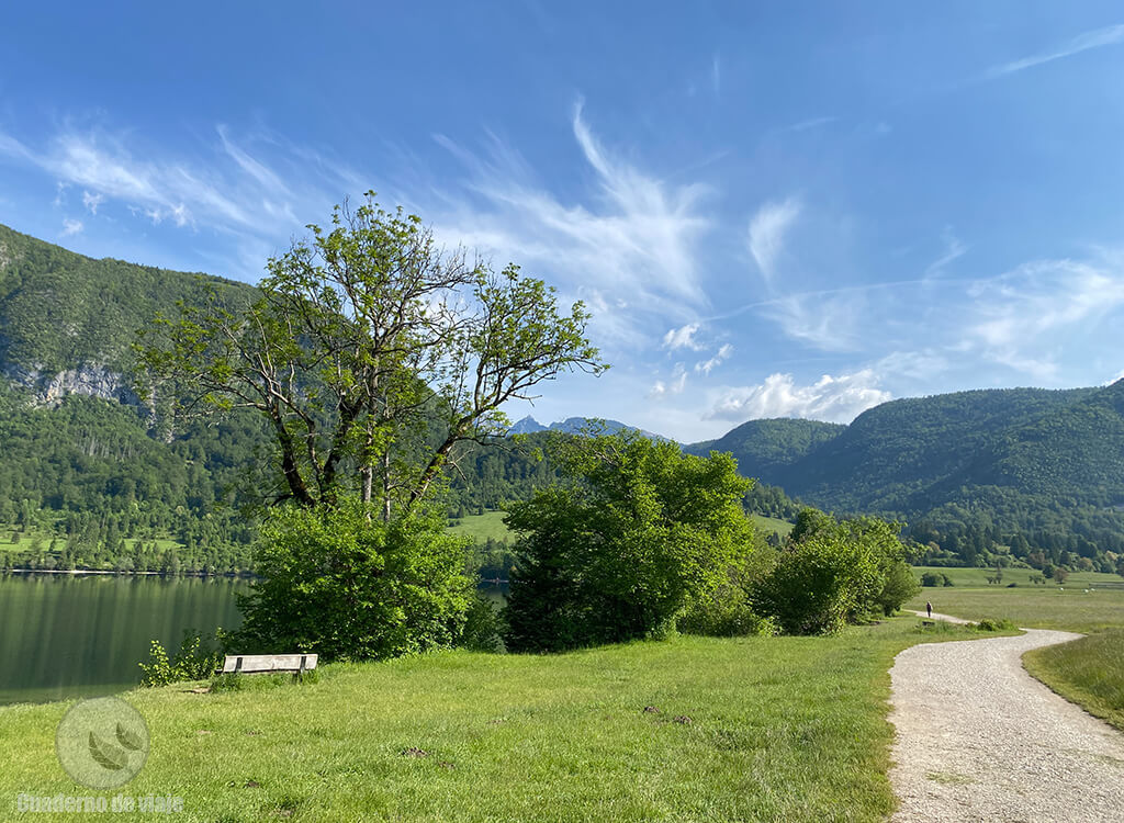 En torno al lago Bohinj hay numerosas rutas senderistas En torno al lago Bohinj hay numerosas rutas senderistas