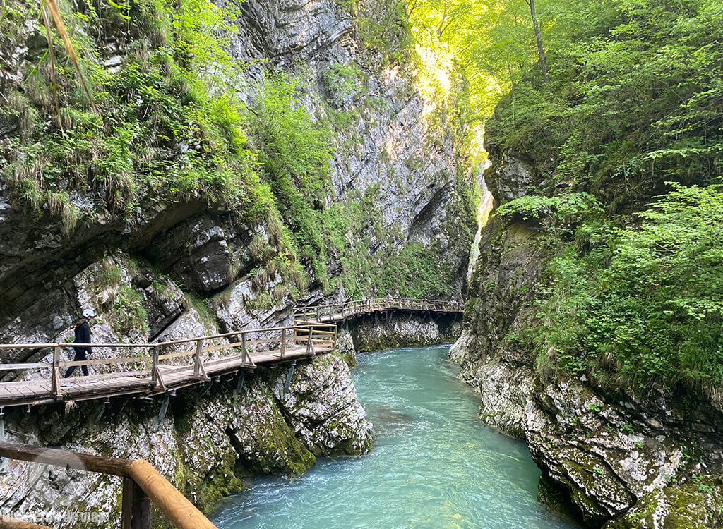 El Desfiladero Vintgar es uno de los lugares más espectaculres de Eslovenia El Desfiladero Vintgar es uno de los lugares más espectaculres de Eslovenia