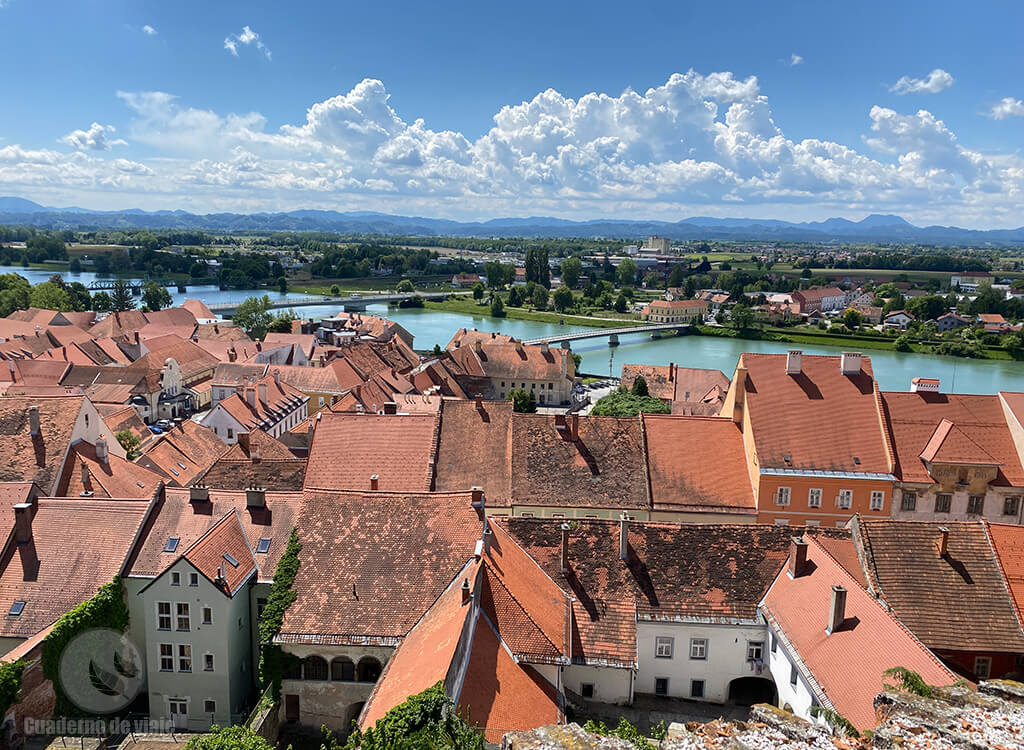 Los tejados rojos de Ptuj vistos desde el castillo Los tejados rojos de Ptuj vistos desde el castillo