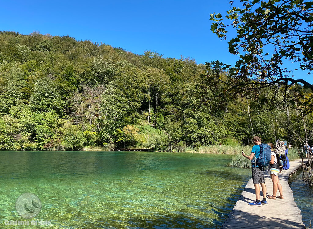 Internet en el móvil, muy útil si se hacen rutas por la naturaleza Internet en el móvil, muy útil si se hacen rutas por la naturaleza
