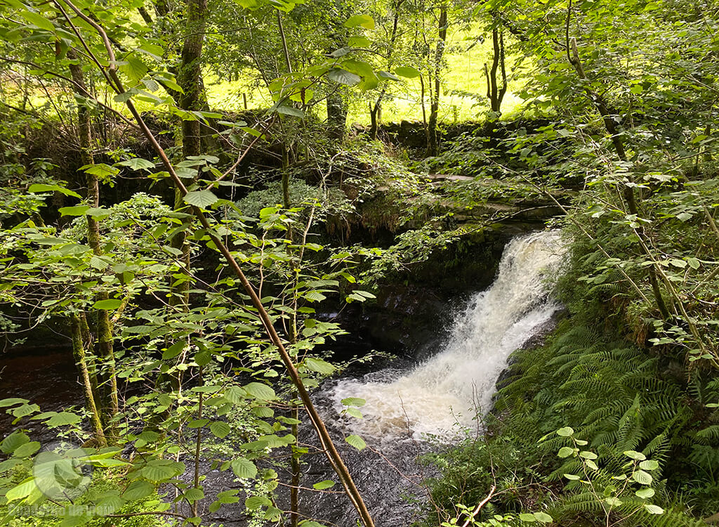La naturaleza desbordante de los Valles Pasiegos La naturaleza desbordante de los Valles Pasiegos
