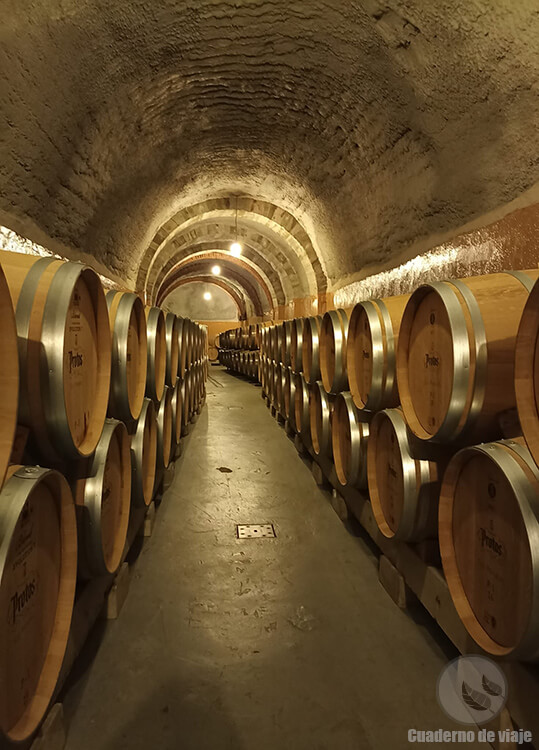 Bodegas Protos Bodegas Protos