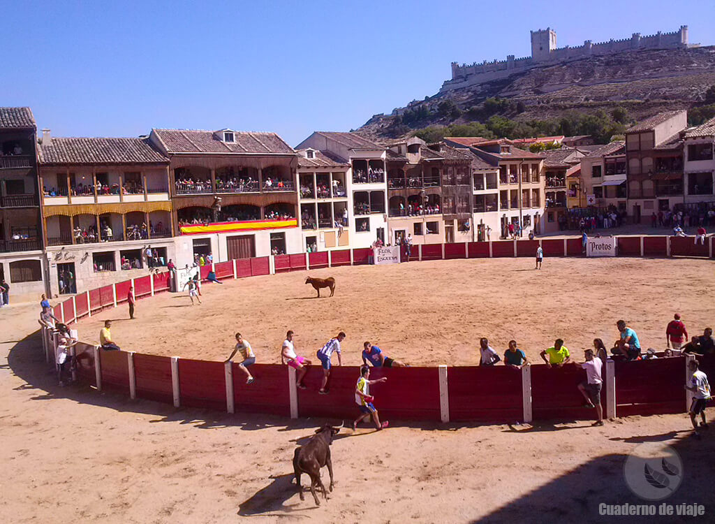 Festejos taurinos con la singularidad de Festejos taurinos con la singularidad de el toro por dentro y por fuera