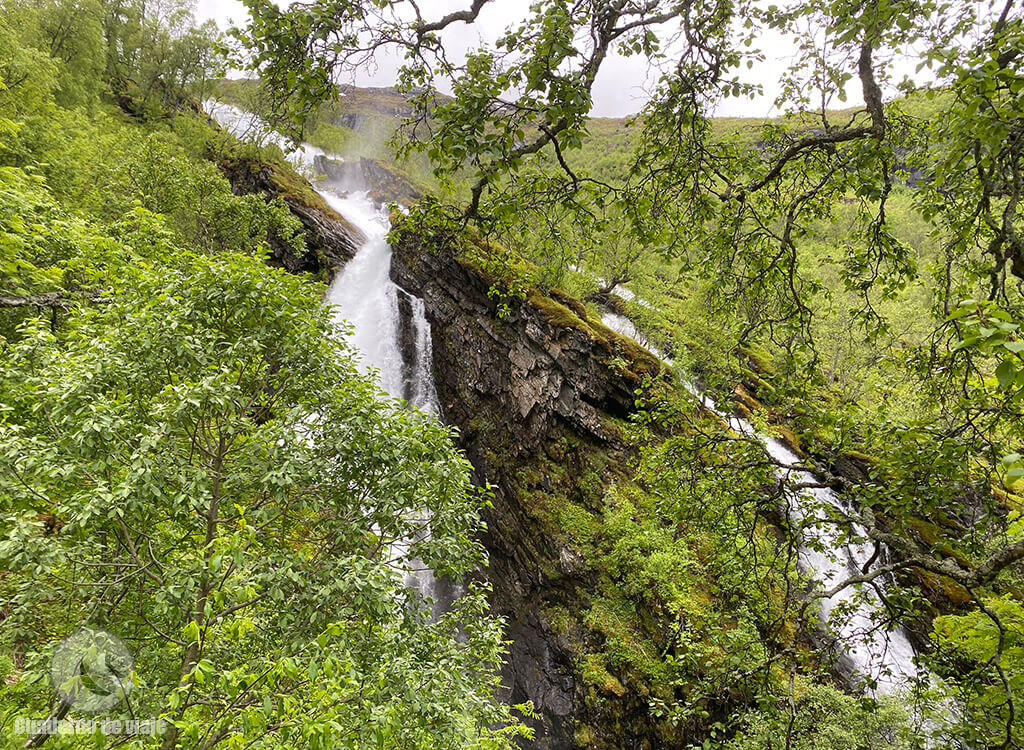 La espectacular cascada junto al camino en Myrdalsvingane La espectacular cascada junto al camino en Myrdalsvingane
