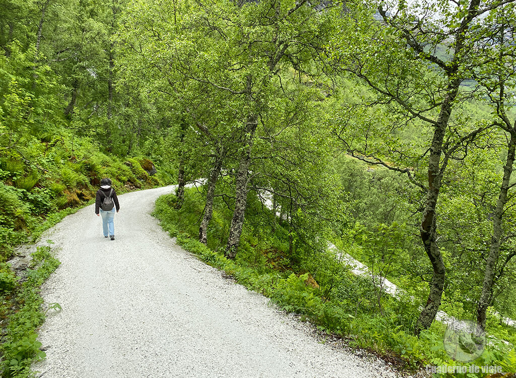 La ruta senderista tiene una longitud de 3,5 kilómetros La ruta senderista tiene una longitud de 3,5 kilómetros